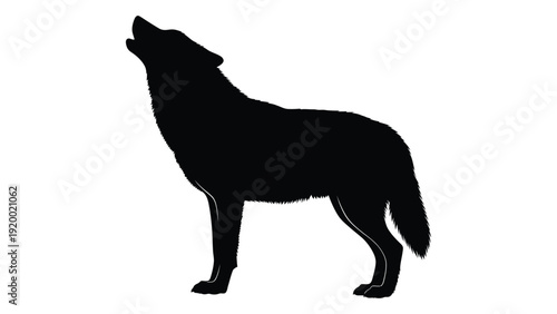 A black silhouette of a wolf howling at the moon on a white background isolated on white background, Vector