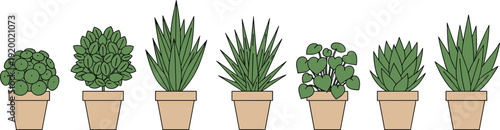Vector illustration of seven various green houseplants and succulents in simple terracotta clay pots isolated on a plain white background