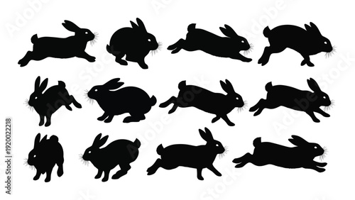 A collection of black silhouette rabbits in various dynamic poses. isolated on white background, Vector