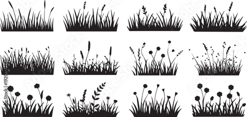 Dune grass and plant silhouettes