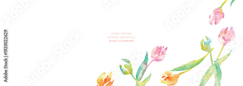 水彩画。水彩タッチのチューリップ背景。チューリップの春背景ベクターイラスト。Watercolor painting. Watercolor tulip background. Spring background vector illustration of tulips.