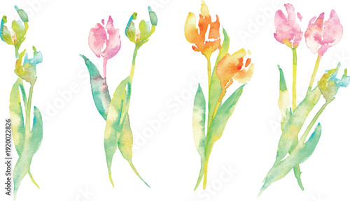 水彩画。水彩タッチのチューリップ背景。チューリップの春背景ベクターイラスト。Watercolor painting. Watercolor tulip background. Spring background vector illustration of tulips.