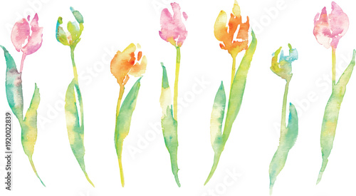 水彩画。水彩タッチのチューリップ背景。チューリップの春背景ベクターイラスト。Watercolor painting. Watercolor tulip background. Spring background vector illustration of tulips.