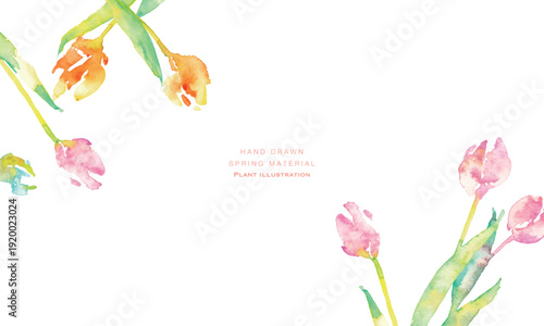 水彩画。水彩タッチのチューリップ背景。チューリップの春背景ベクターイラスト。Watercolor painting. Watercolor tulip background. Spring background vector illustration of tulips.