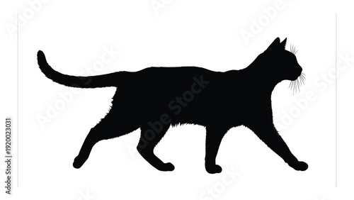 A sleek black cat silhouetted against a white background, captured in mid-stride. isolated on white background, Vector