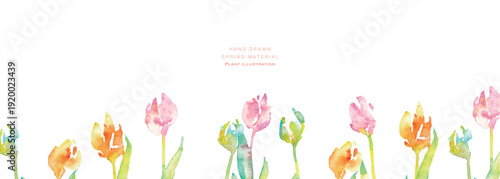 水彩画。水彩タッチのチューリップ背景。チューリップの春背景ベクターイラスト。Watercolor painting. Watercolor tulip background. Spring background vector illustration of tulips.