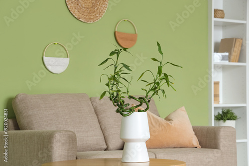 Vase with bamboo stems on c...