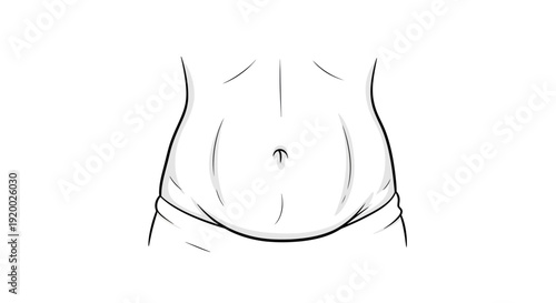 Illustration of a human abdomen with soft belly, showing skin folds and navel.