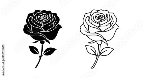 Black and white rose illustration, minimalist floral art, vector design Vector
