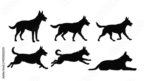 Silhouettes of dogs in various poses and movements isolated on white background, Vector
