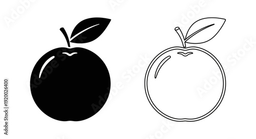 Minimalist apple and orange fruit illustration set, black and white fruit drawing Vector