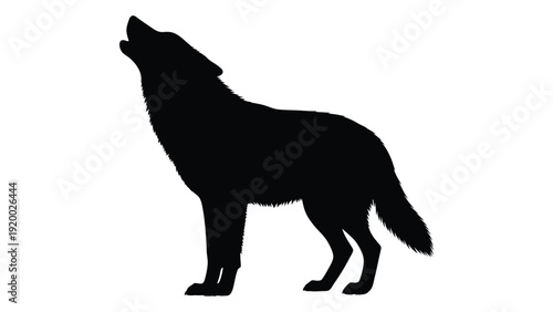 A black silhouette of a wolf howling at the moon in the night sky. isolated on white background, Vector