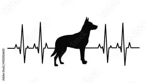 A silhouette of a dog standing next to a heart monitor with a steady heartbeat. isolated on white background, Vector