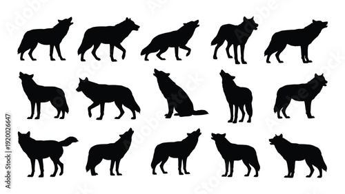 A collection of various wolf silhouettes in different poses and actions. isolated on white background, Vector