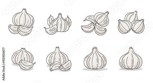 Garlic Collection: Whole Bulbs and Cloves, Hand-Drawn Style, White Background