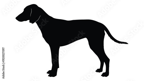 Silhouette of a dog standing on all fours, facing to the right. isolated on white background, Vector