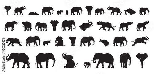 black elephant silhouettes captured in running and charging poses with dust and dynamic legs, powerful motion and energy emphasized for sports, action, and dramatic nature visuals