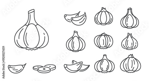 Garlic Icons and Illustrations: Whole Bulbs, Cloves, and Slices - Outline Style
