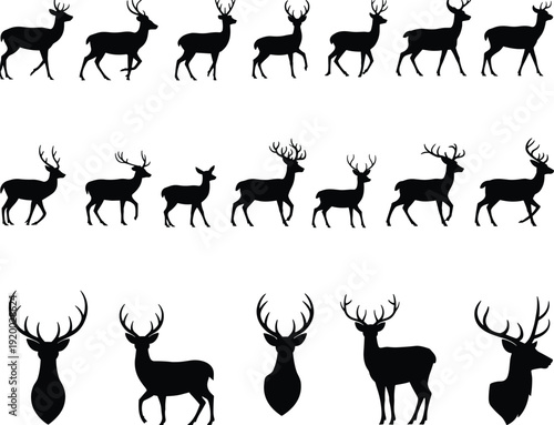 Deer silhouette set featuring stag, buck and doe in various poses with antlers, wildlife vector collection isolated on white