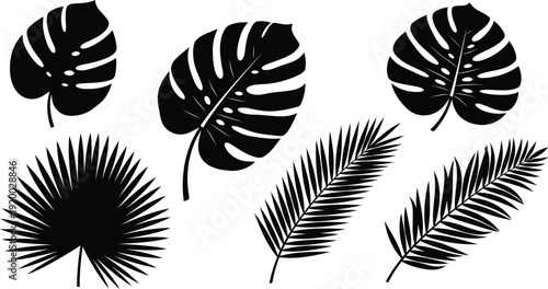 Black silhouettes of various tropical leaves on white background