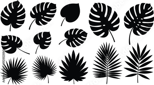 black silhouettes of various tropical leaves on white background