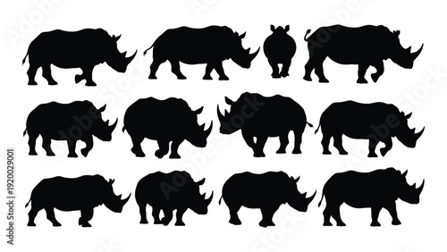 A diverse collection of rhinoceros silhouettes in various poses and orientations isolated on white background, Vector