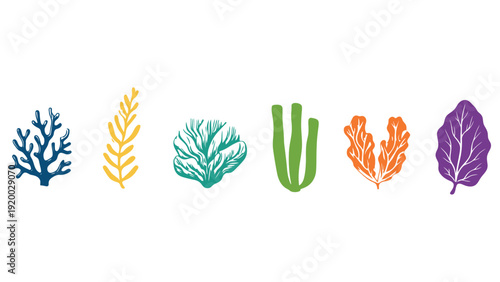 A colorful arrangement of leaf and plant illustrations on a white background
