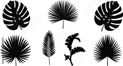 Collection of tropical leaf silhouettes on white background