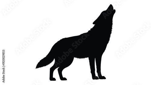 A silhouette of a wolf howling at the moon on a white background isolated on white background, Vector