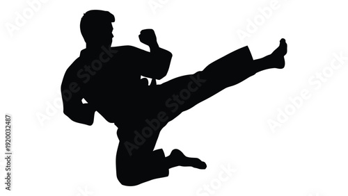 Silhouette of a martial artist performing a high kick in a dynamic pose isolated on white background, Vector