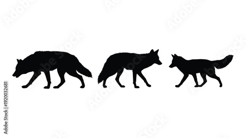 Three silhouettes of canines walking in a line against a white background. isolated on white background, Vector