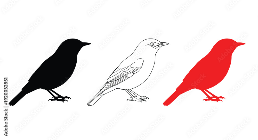 Fototapeta premium Three bird depictions in varying styles including a dark silhouette