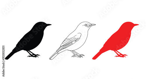 Three bird depictions in varying styles including a dark silhouette