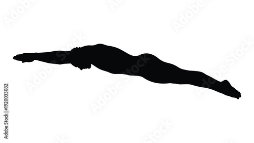 Intricate black silhouette of a long, slender, abstract creature on a white background isolated on white background, Vector