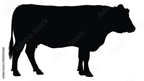 Silhouette of a cow standing on a plain, facing to the right isolated on white background, Vector