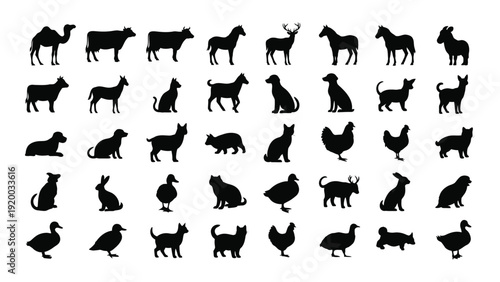 A diverse collection of black silhouettes of various animals and birds isolated on white background, Vector
