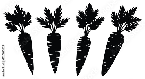 Four carrots displayed in a striking black silhouette