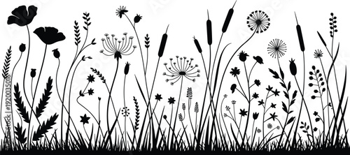 Floral meadow silhouette featuring wild flowers, poppy, grass, and reeds representing nature, spring, summer garden, botanical field, outdoor beauty, and ecological landscape design.