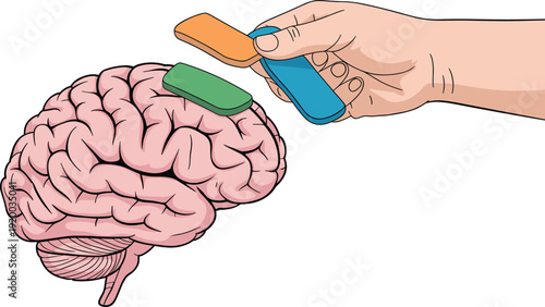 Human brain illustration with hand holding magnet attracting sections, neuroscience concept of memory, psychology, cognitive function, mental health, brain power and neuroplasticity