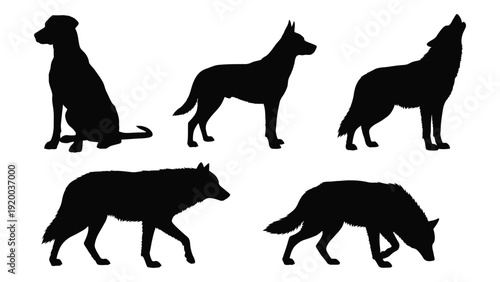 Silhouettes of various dog breeds and a wolf showcasing different poses and stances isolated on white background, Vector