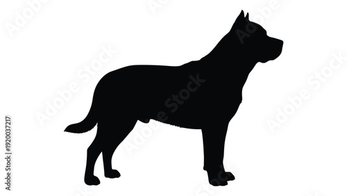 Silhouette of a powerful dog breed standing confidently against a white background isolated on white background, Vector