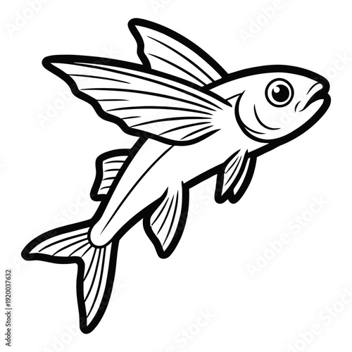 Stunning flying fish in mid air with fins spread wide