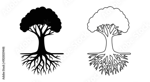 Two trees with roots illustration, nature, growth, and symbiosis concept Vector