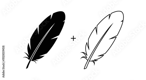 Two feathers design elements vector illustration for creative projects Vector