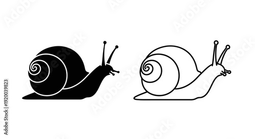 Black and white snail illustration vector art design Vector