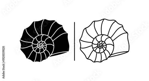 Ammonite fossil illustration, black and white, scientific drawing, paleontology art Vector