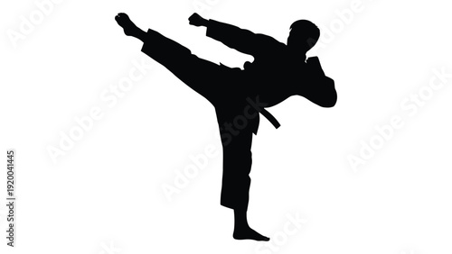 A martial artist performing a high kick in a dynamic fighting stance isolated on white background, Vector