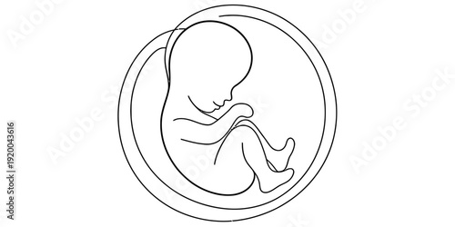 A minimalist line drawing depicts a fetus curled within a circular womb symbolizing prenatal development and new life high-quality professional