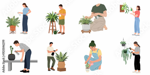 People caring for houseplants, watering and misting various indoor plants for a healthy home garden.