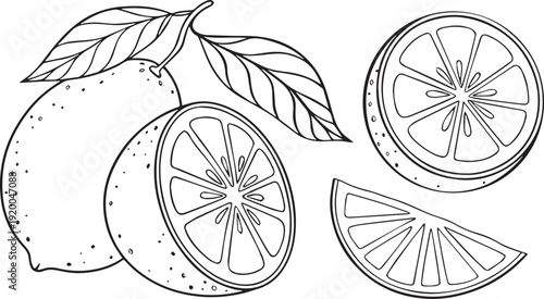 Vintage bicycle wheel vector illustration icon design